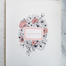 - AMY ROCHELLE PRESS - "Hope Sweet Hope". This art piece of hand illustrated flowers was screen printed on french flecked paper using layers of soft grays and pinks.
