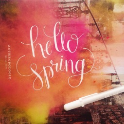 - AMY ROCHELLE PRESS - "Hello Spring." Hand lettering with white Sakura Jelly Roll on Anthropologie catalogue.