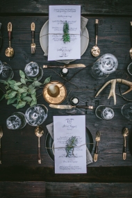 - AMY ROCHELLE PRESS - Fire and Ice Secret Supper. The Secret Supper crew styles such incredible table arrangements. I love the richness of the green and gold against the dark woods. Photo by Eva Kosmas Flores