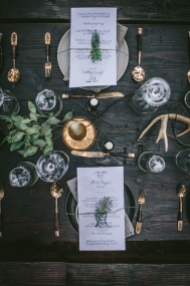 - AMY ROCHELLE PRESS - Fire and Ice Secret Supper. The Secret Supper crew styles such incredible table arrangements. I love the richness of the green and gold against the dark woods. Photo by Eva Kosmas Flores